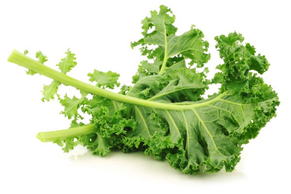 fresh-kale-on-a-white-background