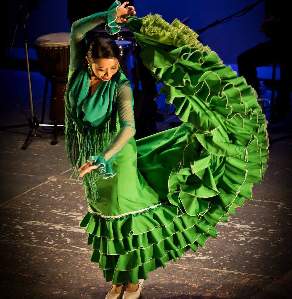 Mozaico Flamenco 1 photo Sanka Dee